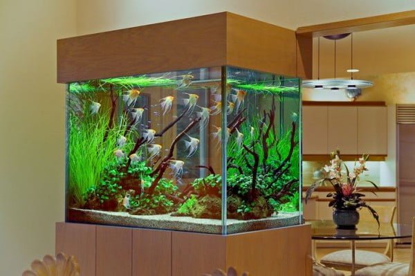 660+ Aquarium Design Group.com Gratis Terbaik