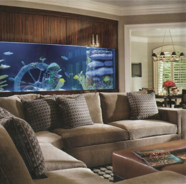 Source: cityaquarium.blogspot.ca