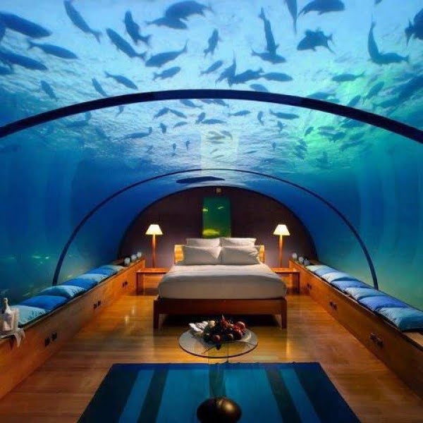Source: www.tumblr.com