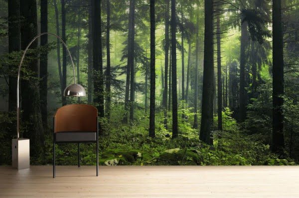 43 Enchanting Forest Wall Murals For Deep And Dreamy Home Decor – Page ...