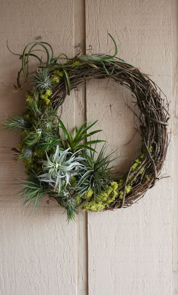 Source: www.therainforestgarden.com