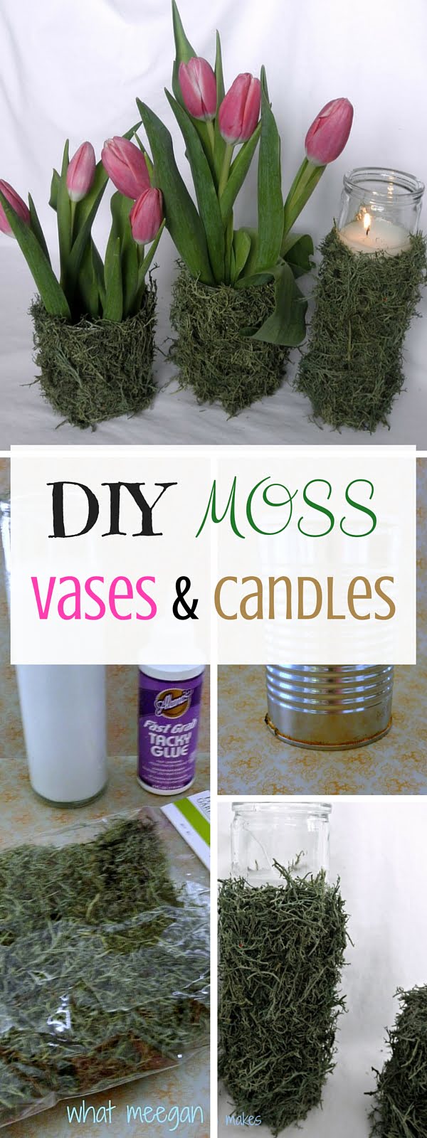  Moss Vases  