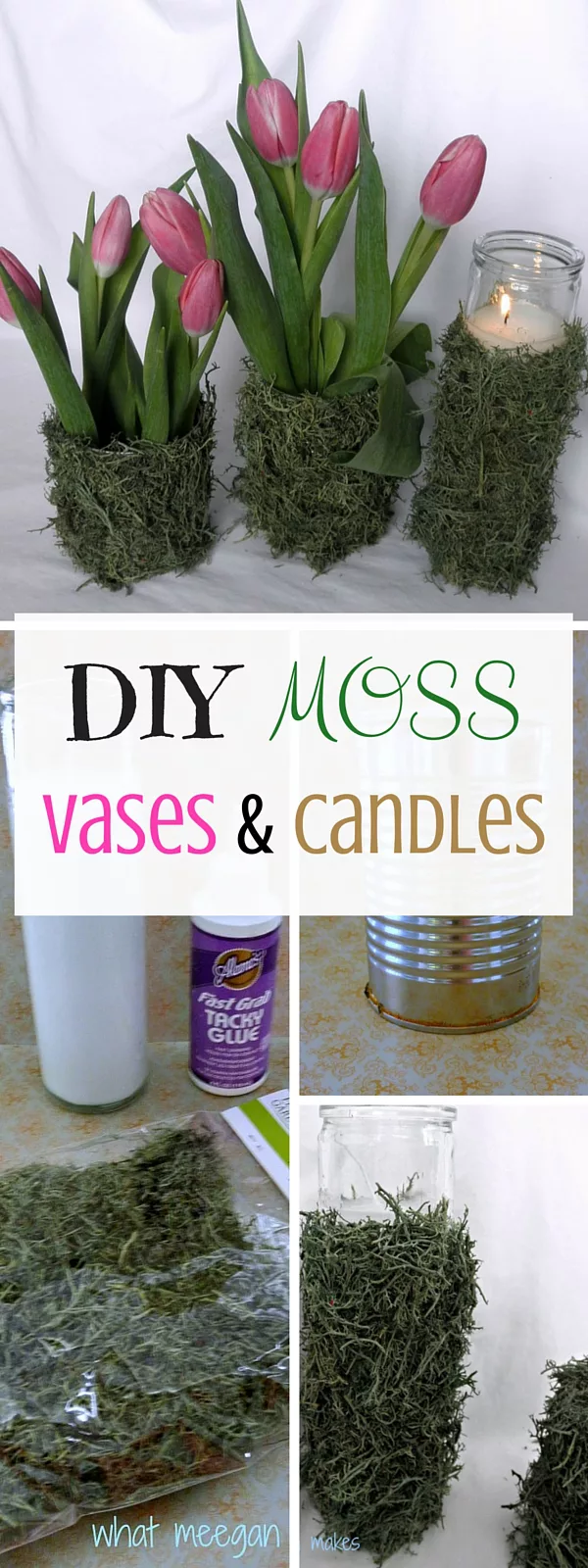 Moss Vases
