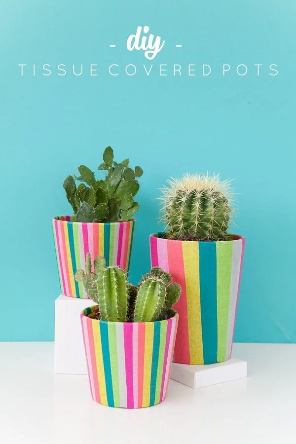 How to make tissue paper cover planter pots. Great and easy idea!