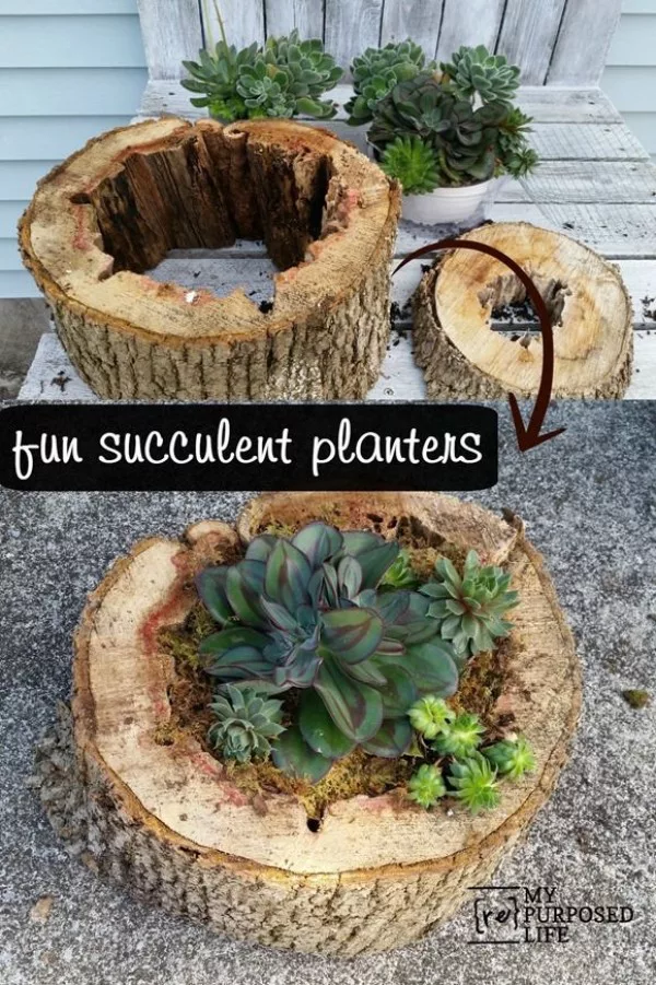 Source: www.myrepurposedlife.com