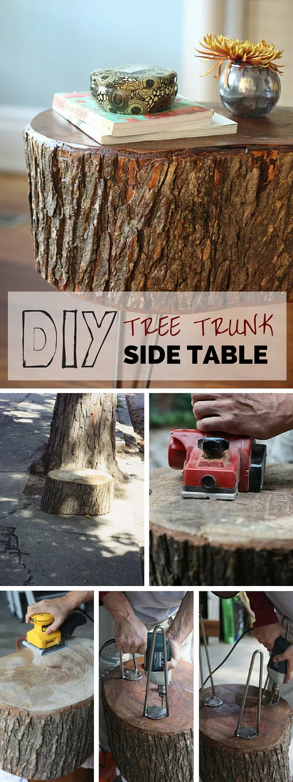 Tree Trunk Side Table