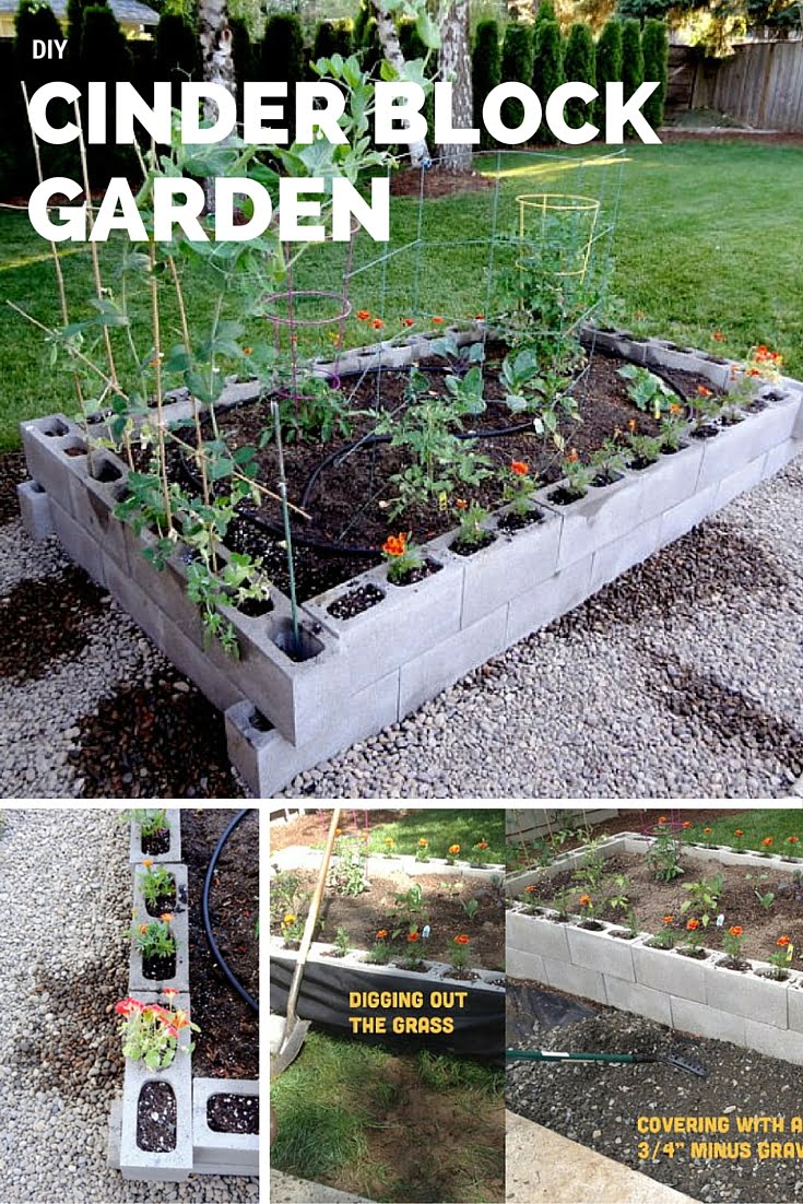 DIY Cinder Block Garden!