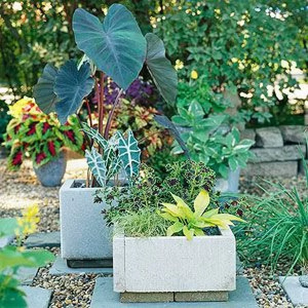 Source: www.bhg.com