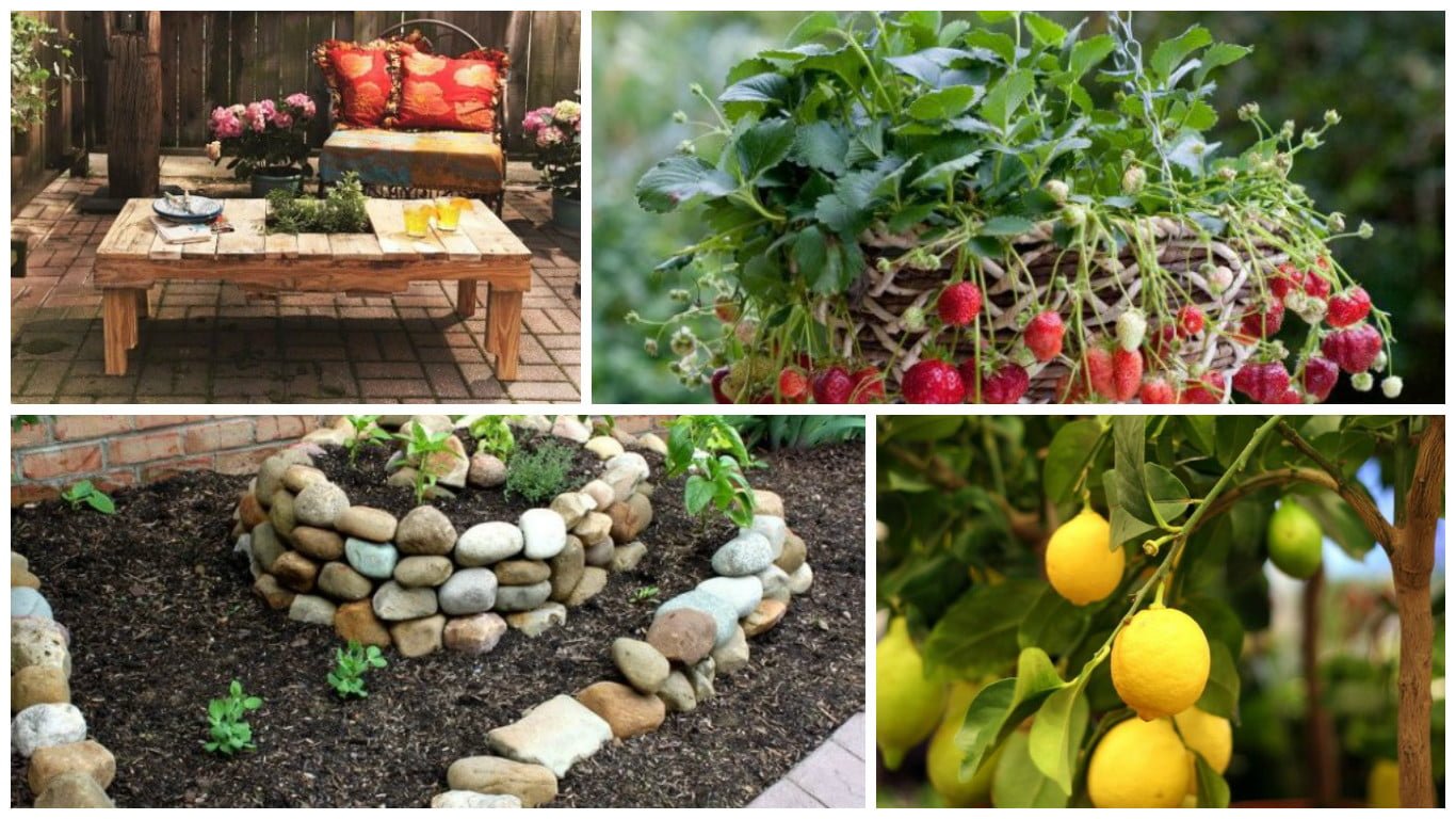 Diy Small Garden Ideas On A Budget Best Design Idea