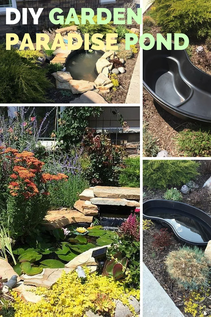 DIY Garden Paradise Pond!