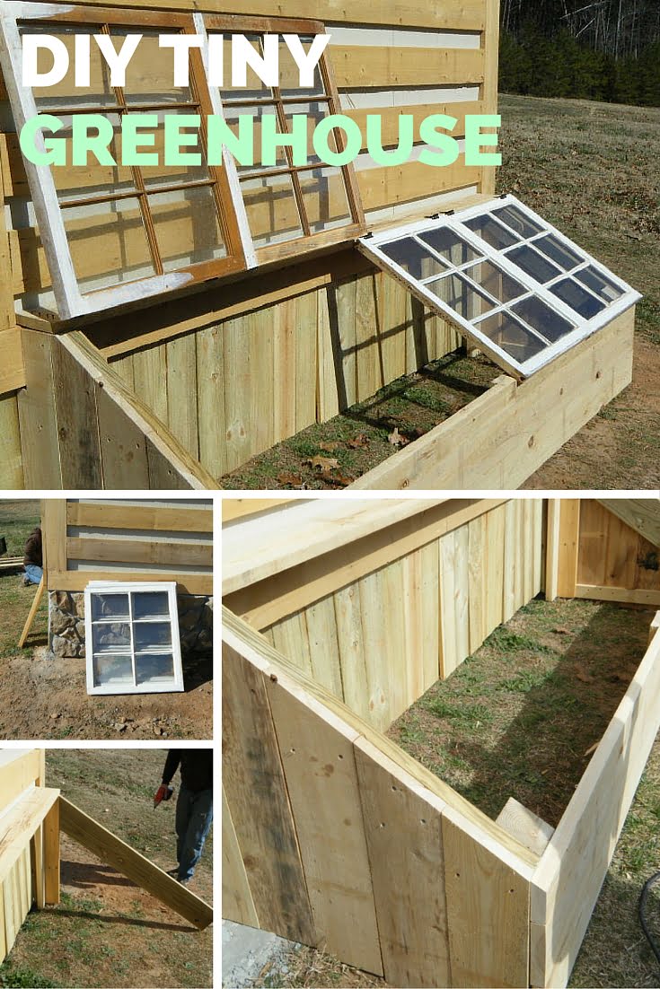 DIY Tiny Greenhouse