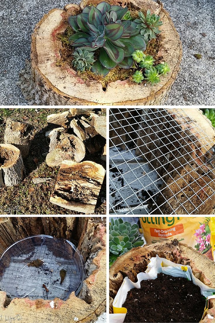 Check out the tutorial: DIY Tree Trunk Planter   