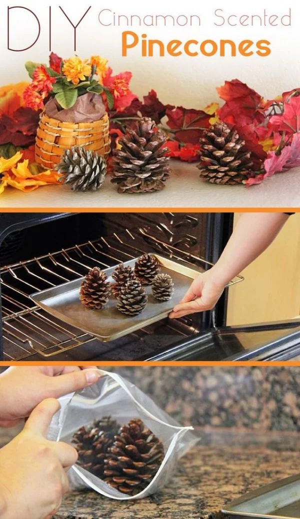 Make easy DIY cinnamon scented pinecones for Thanksgiving decor
