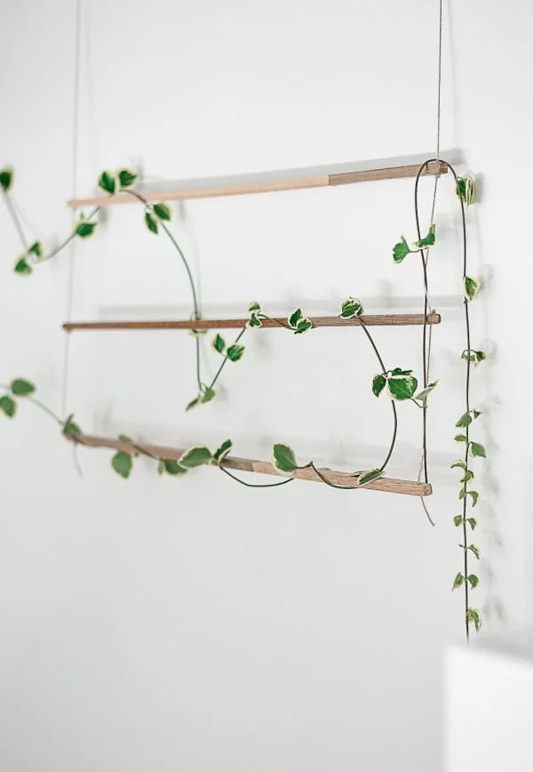Check out how to make an easy DIY indoor trellis for climbing vine