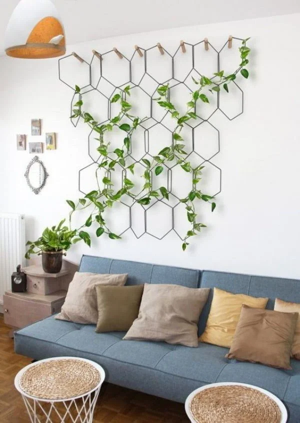 Love this indoor trellis structure for vine plants