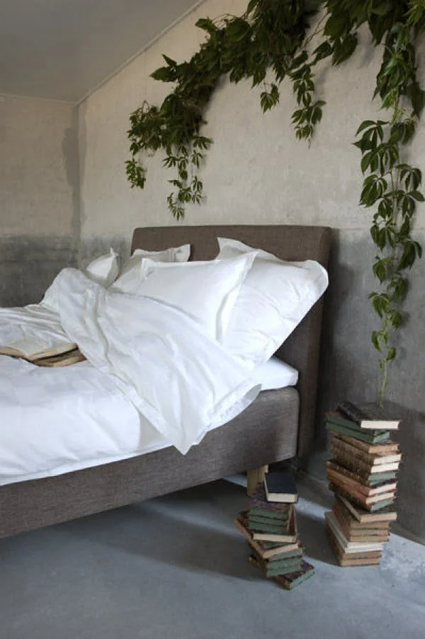Love this bedroom decor with ivy plant