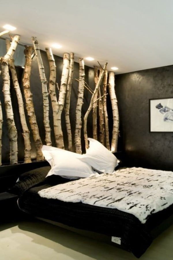 Love the headboard made of real birch tree trunks 