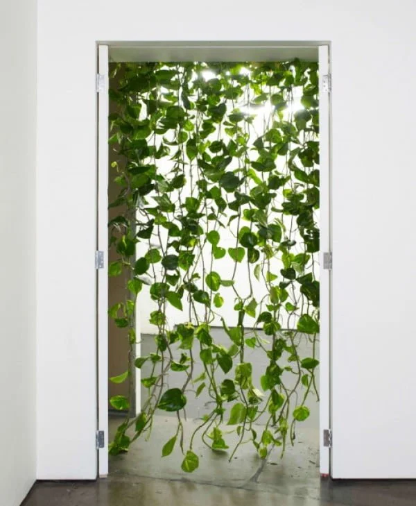 Love the idea to create a door curtain from vine