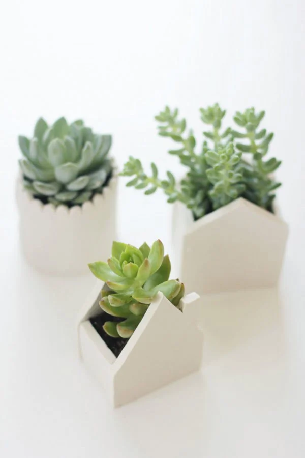 Check out how to make you own DIY succulent planters from clay