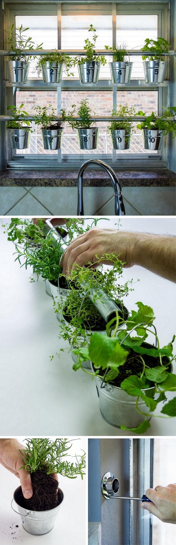 15 Cool DIY Ways to Start an Indoor Herb Garden