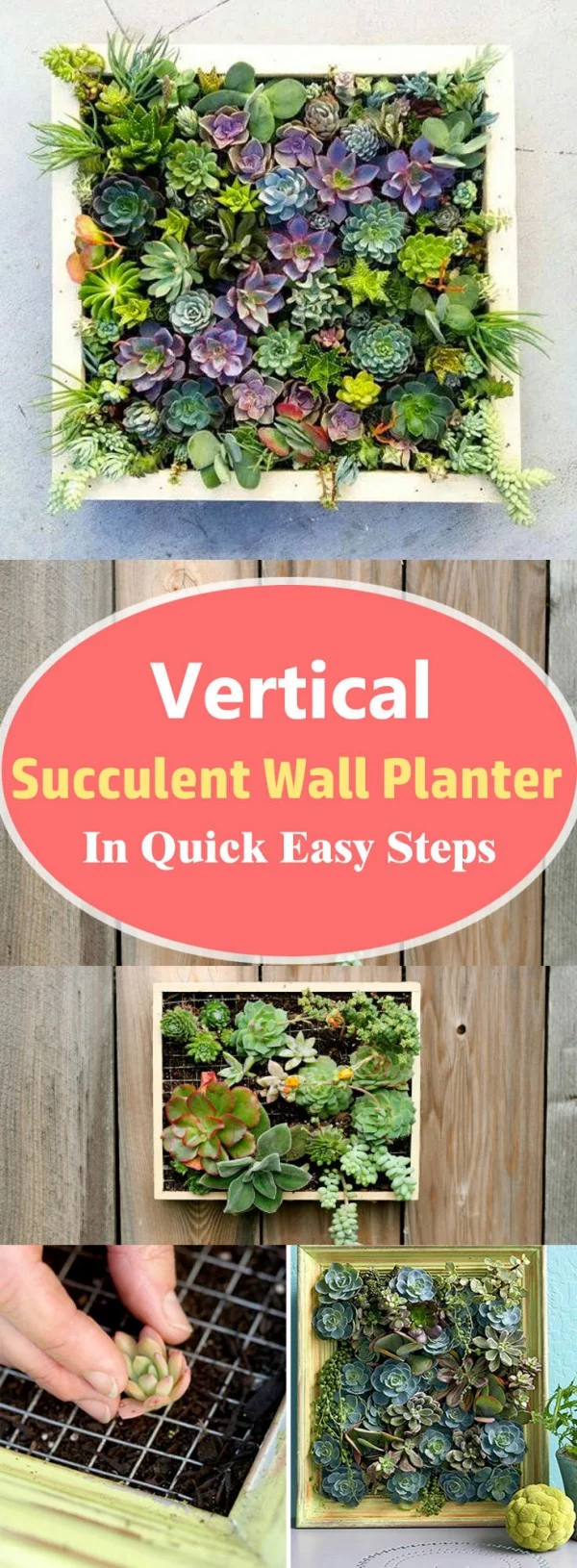 Check out how to make a DIY wall succulent planter