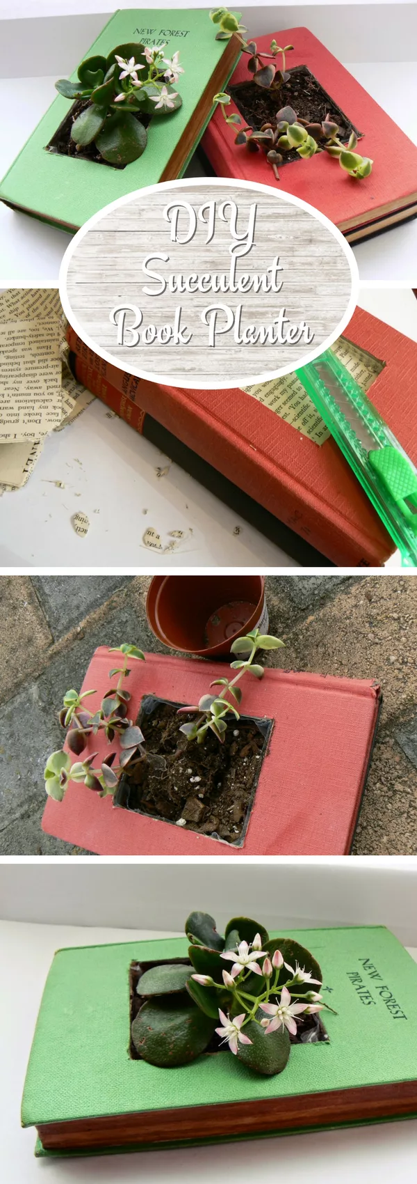 Check out how to make a DIY succulent book planter