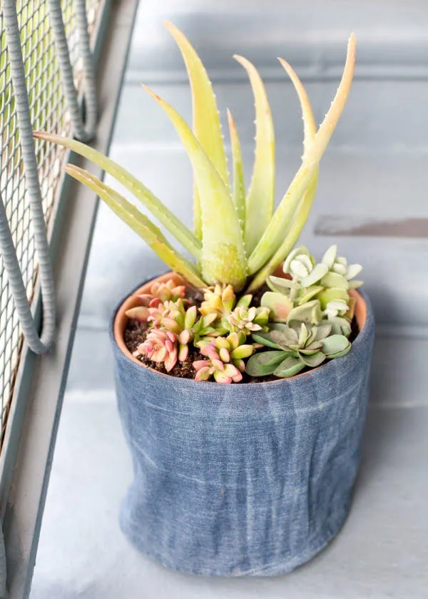 Great idea! Check out the tutorial on how to make a  denim garden planter 