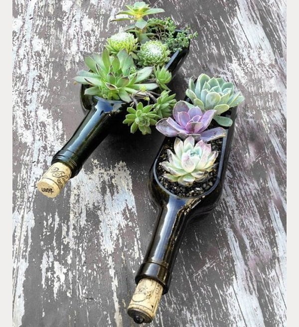 How to make a  wine bottle succulent centerpiece 