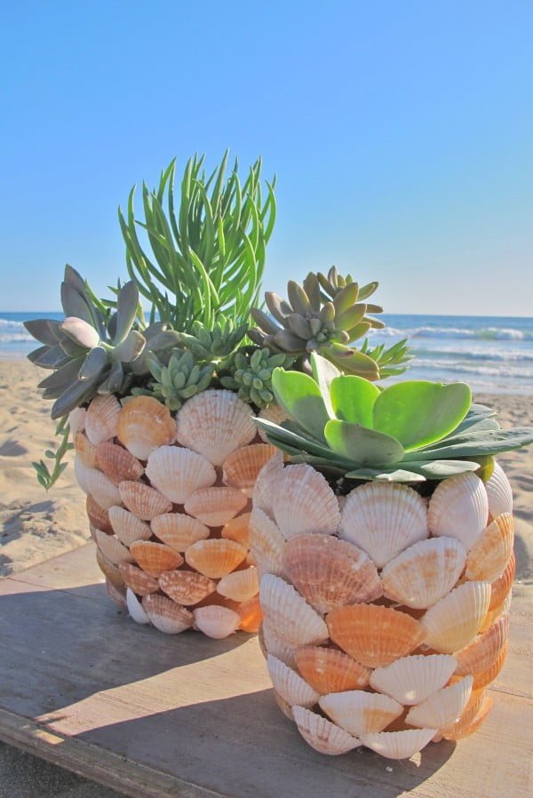 Check out the tutorial on how to make DIY sea shell planters (great for summer decor) @istandarddesign