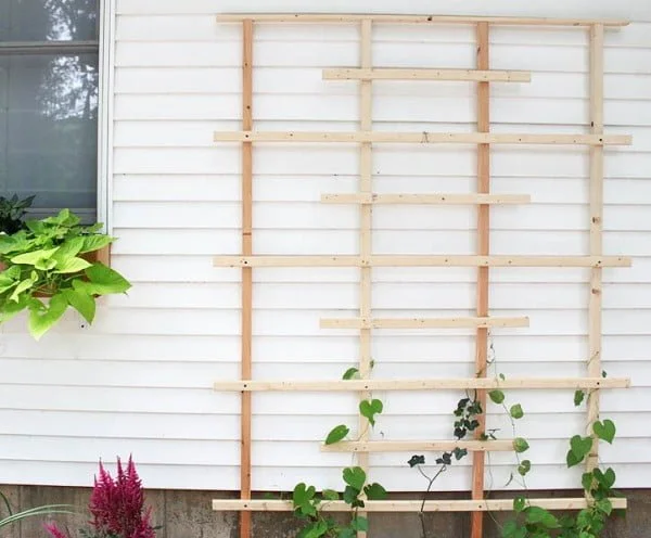 cedar lumber trellis for your backyard