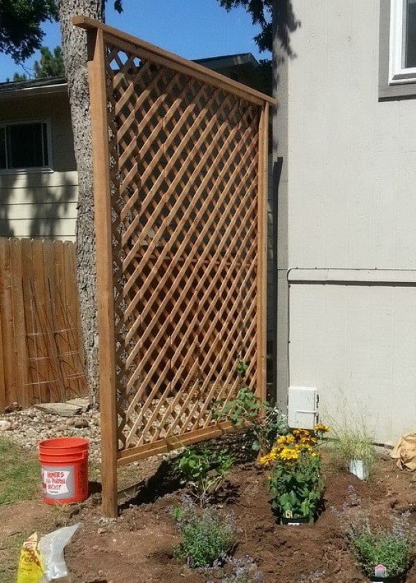 trellis for privacy