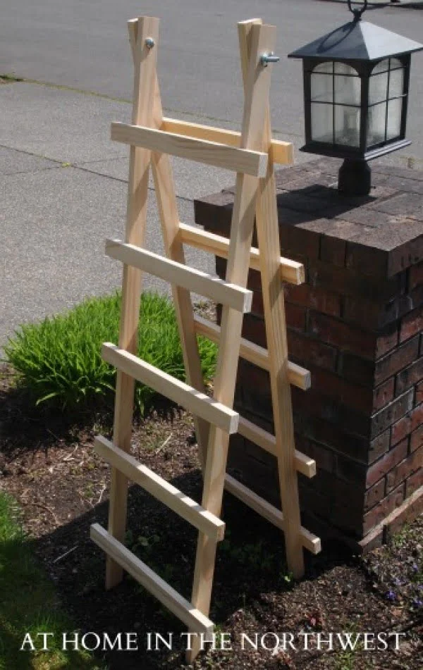 small DIY trellis