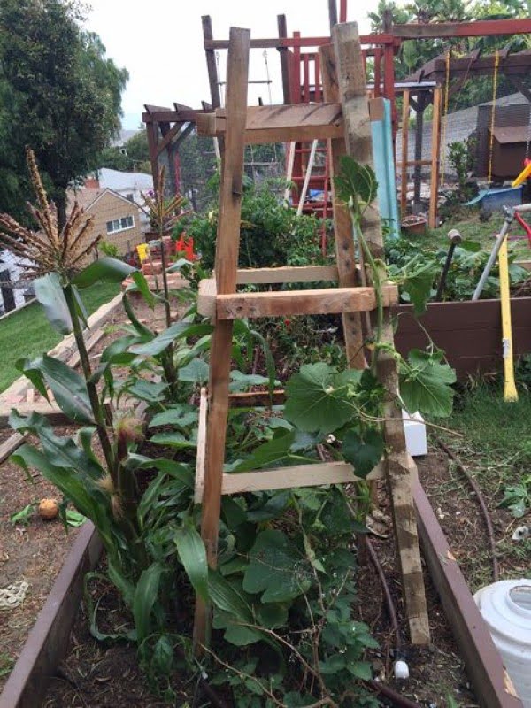 pallet wood trellis