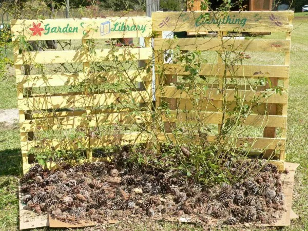 rose trellis from pallets