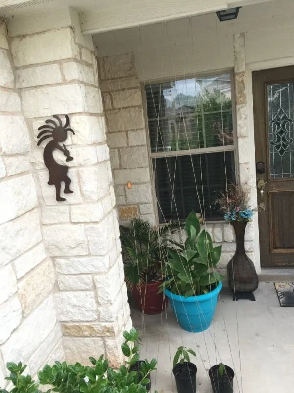 semi-invisible trellis