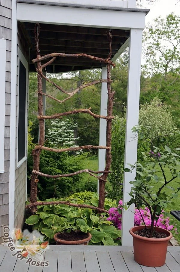rustic trellis for annual vines