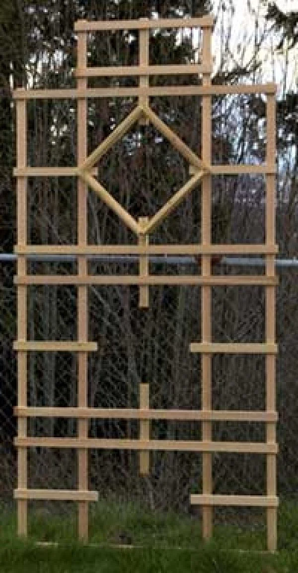 easy DIY trellis for your garden