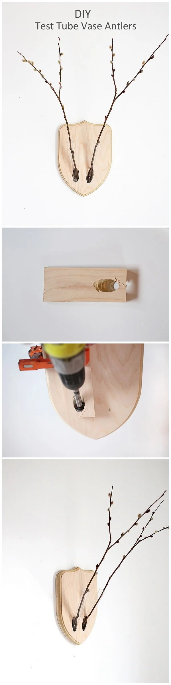 How to make test tube vase antlers for