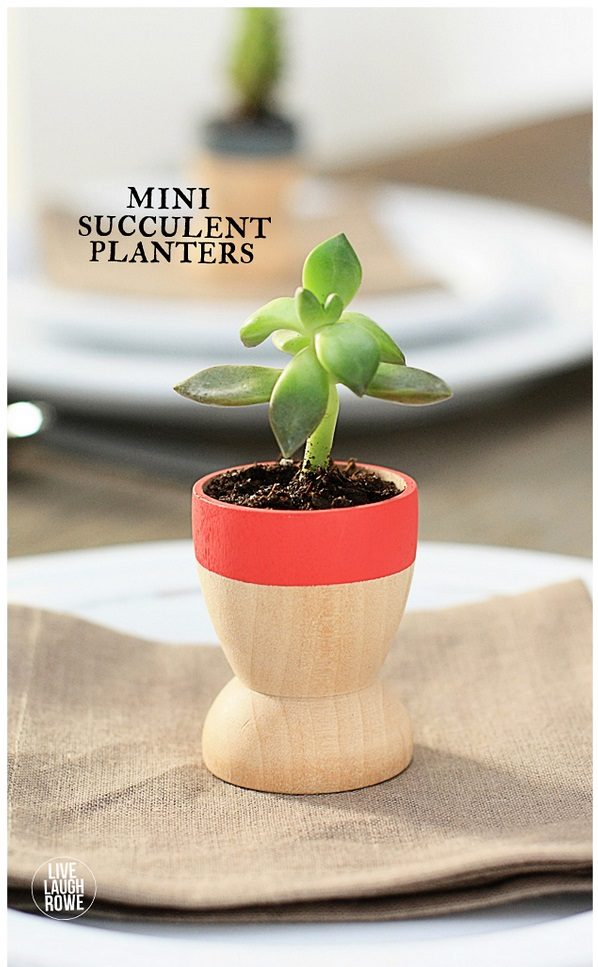 Check out this easy idea on how to make  mini succulent planters that you can make and   