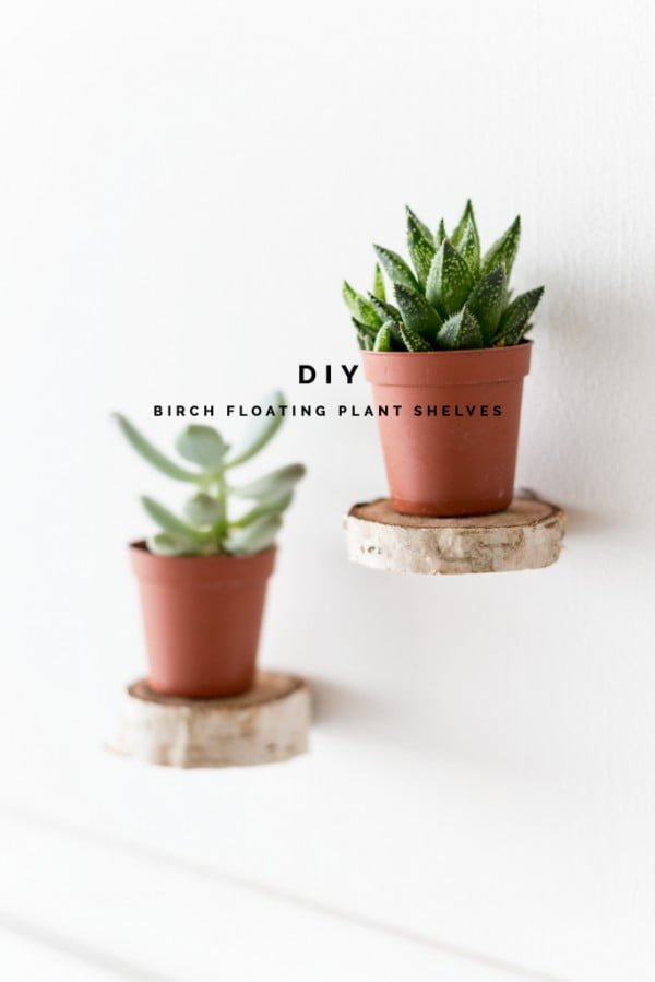 You have to see this tutorial on how to build  birch tree slice floating shelves   