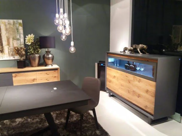 Organic Accents and Accessories in Modern Living Room Decor