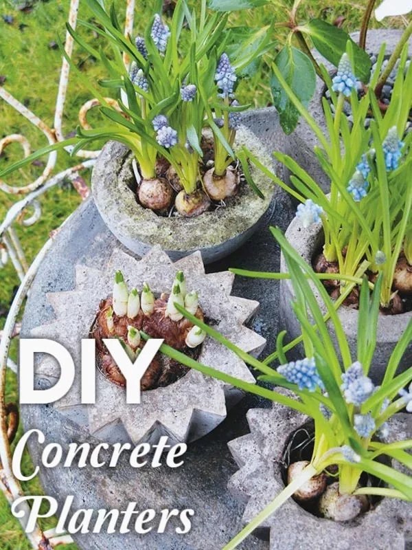Great idea! Check out the tutorial on how to make  whimsical concrete garden planters 