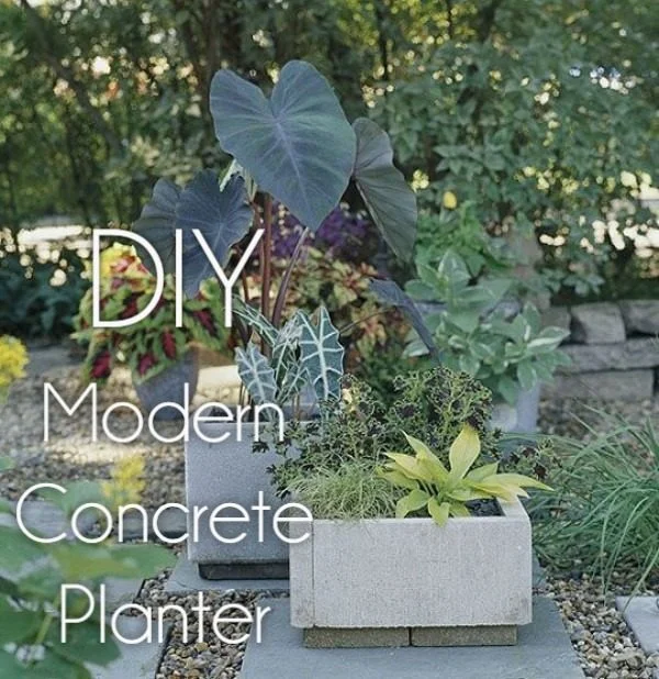 Great idea! Check out the tutorial on how to make  modern concrete garden planters 