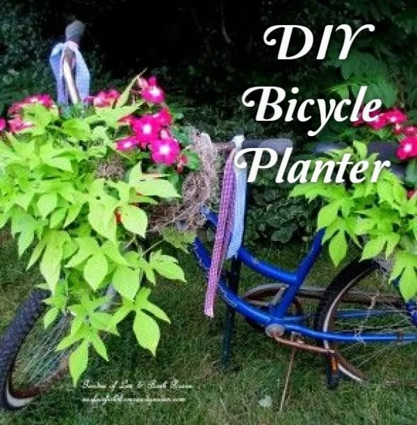 Great idea! Check out the tutorial on how to make a  bicycle garden planter 