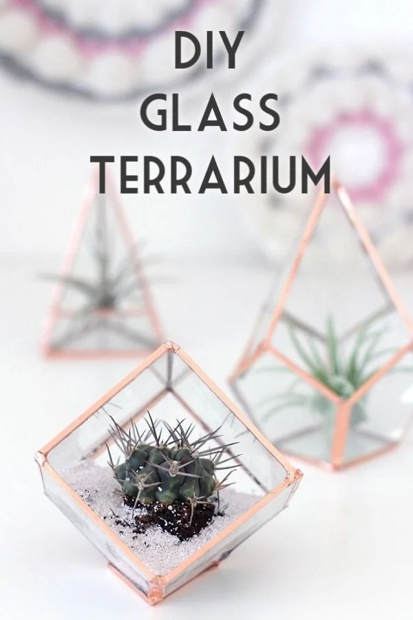 Check out the tutorial on how to make  class terrariums. Looks easy enough!  