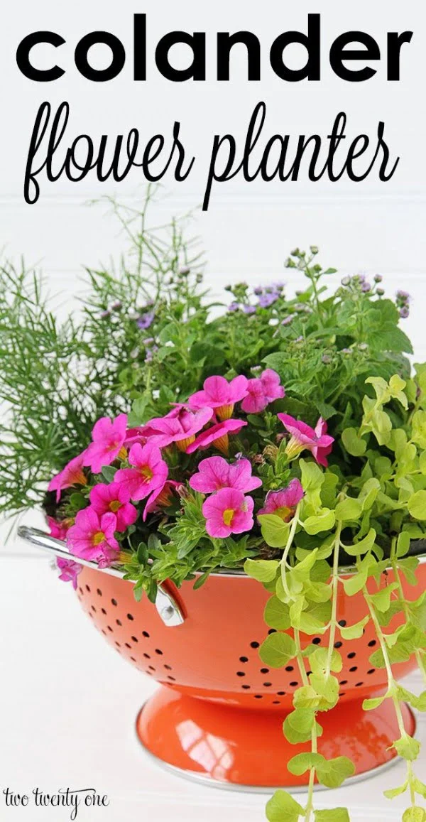 Great idea! Check out the tutorial on how to make a  colander garden planter 