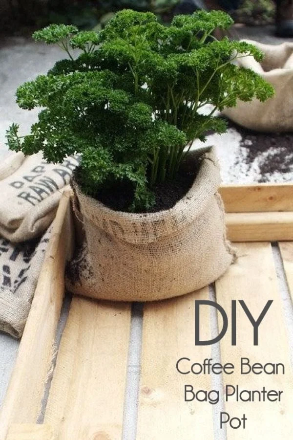 Great idea! Check out the tutorial on how to make a  coffee bean bag garden planter 