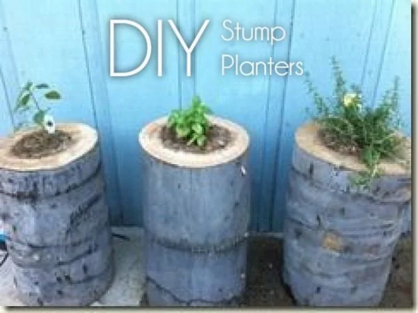 Great idea! Check out the tutorial on how to make a  tree stump garden planter 