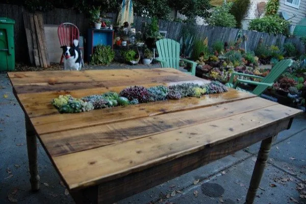 Great idea! Check out the tutorial on how to make a  outdoor succulent pallet table. 
