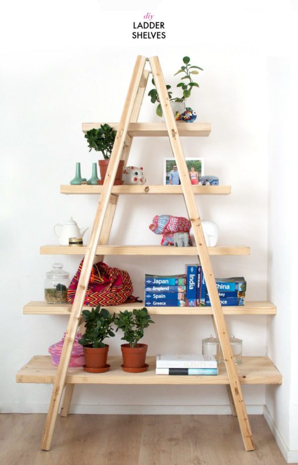 Ladder DIY Bookshelf 